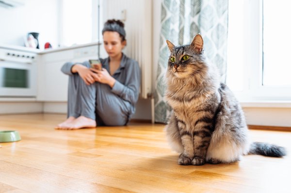 Découvrez le pilou pilou femme pour un cocooning parfait